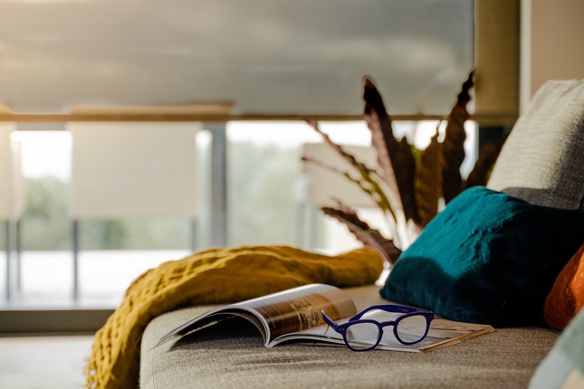 Somfy Smart Blinds